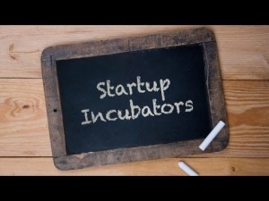 startup incubators in india