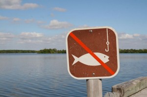 Fishing For Business With Email Marketing