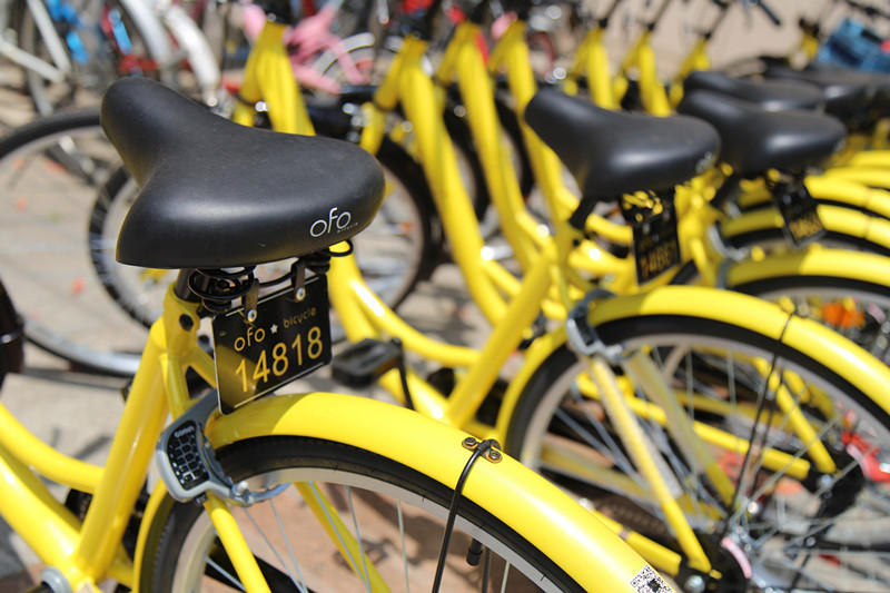 Ofo-India