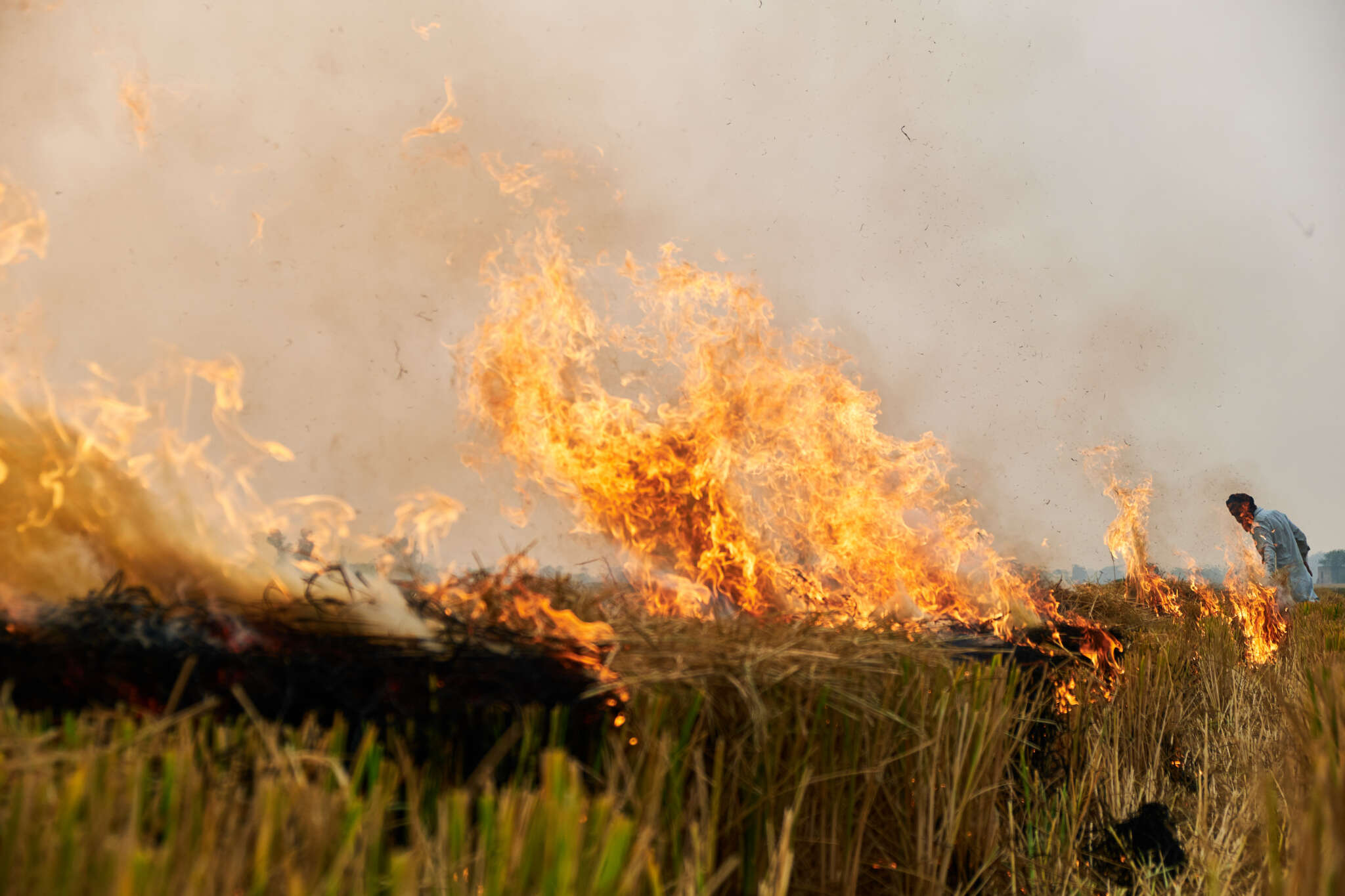Farmers burning field to prepare for planting
