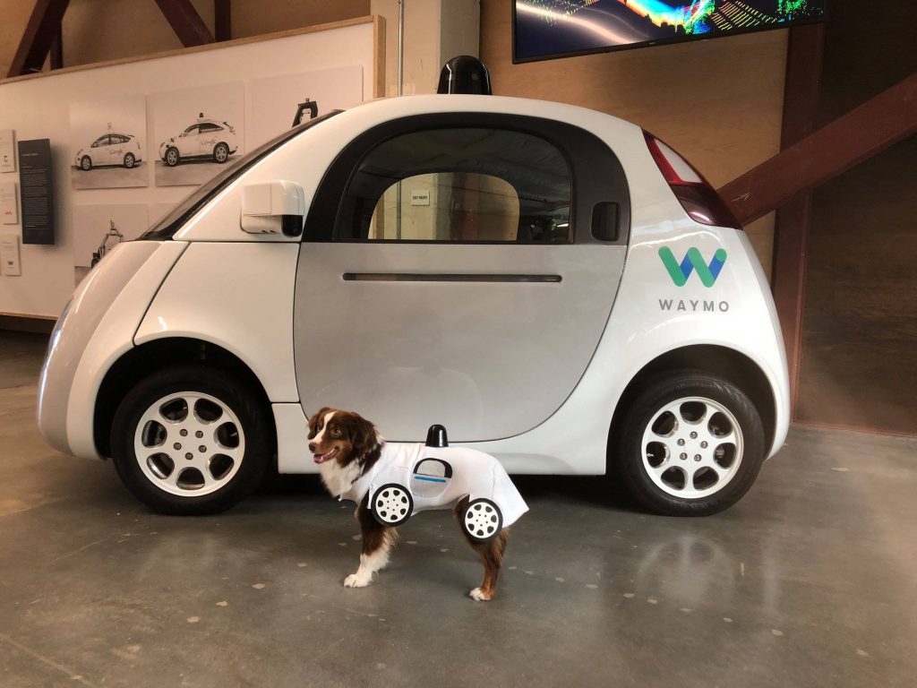 Waymo Self Driving Car and a dog