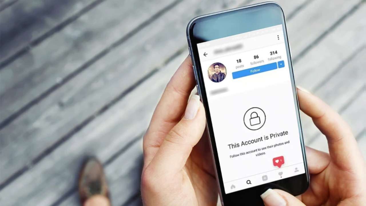 How to See Private Instagram