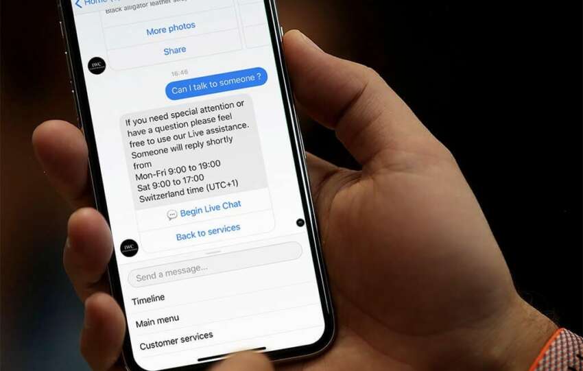How to Turn on Developer Mode in Chatbot