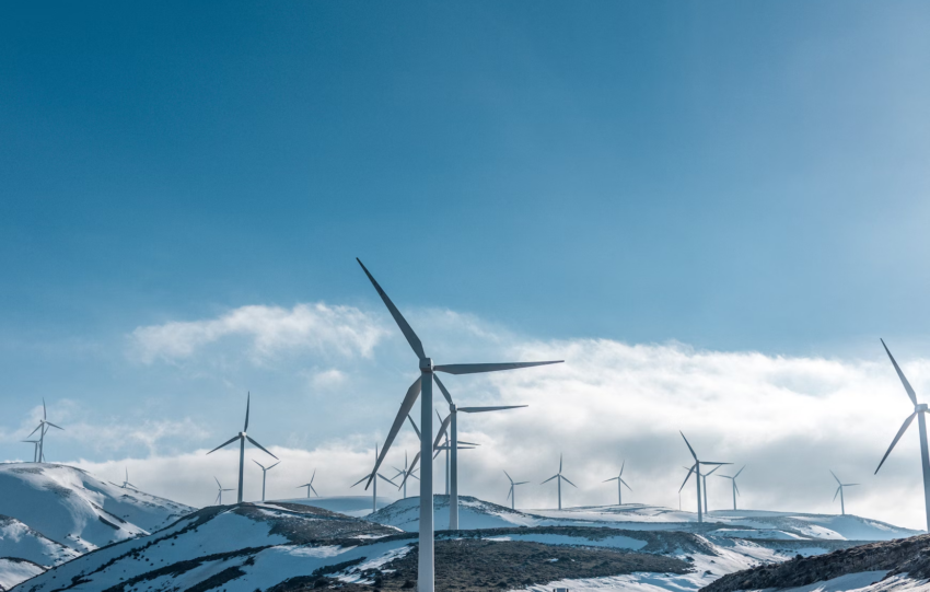 Green Innovations: Modern Sustainable Practices Across Industries
