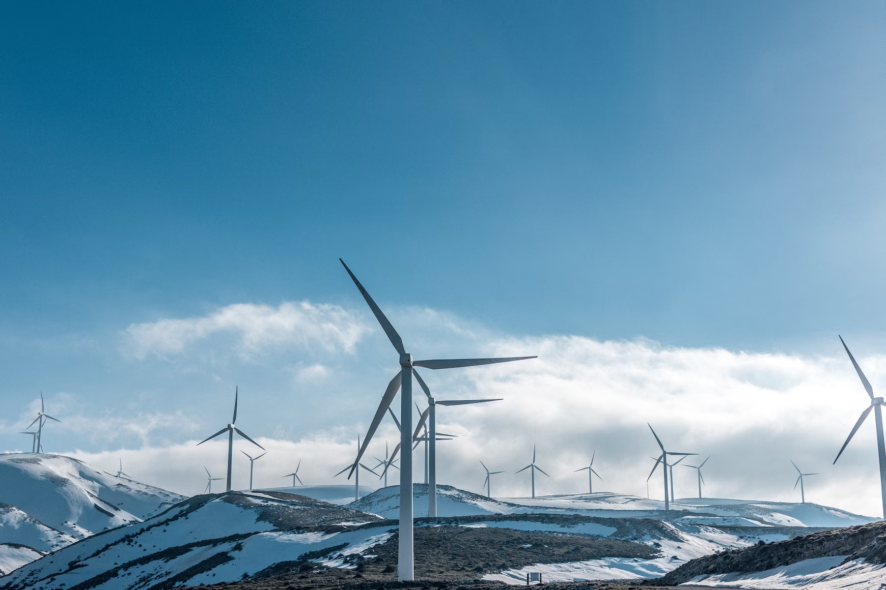 Green Innovations: Modern Sustainable Practices Across Industries