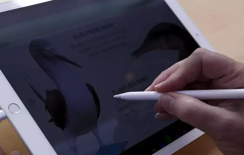 ipad screen not responding to touch