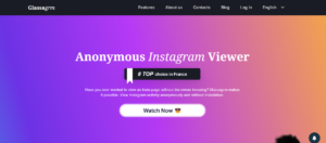How to View Private Insta Accounts Without Following