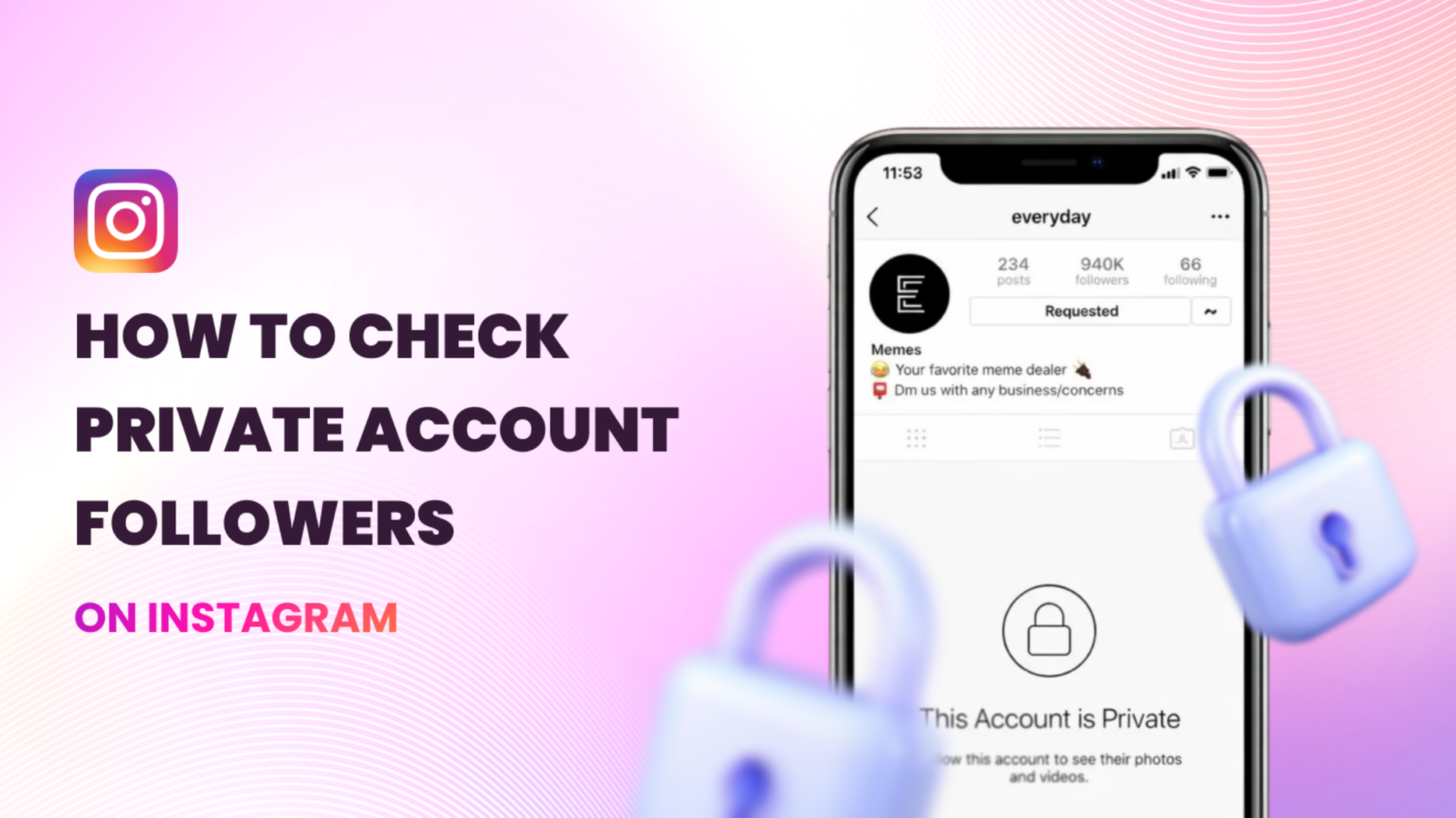 How to Check Private Account Followers on Instagram
