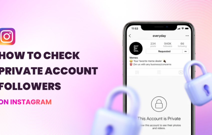 How to Check Private Account Followers on Instagram