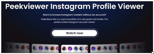How to Use an Instagram Story Viewer